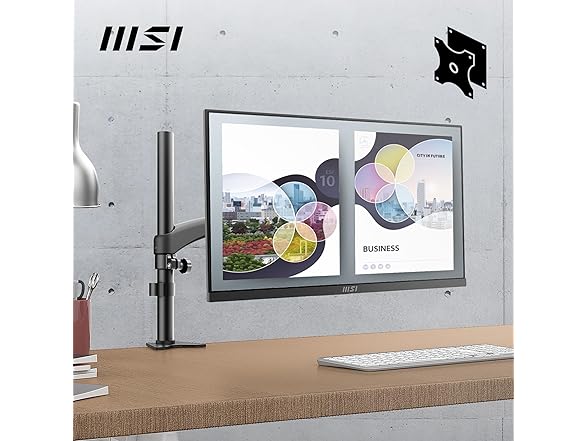 MSI 25" FHD Monitor | PRO MP253