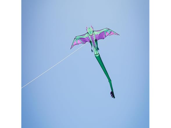 In the Breeze 3399 90-inch Dragon Kite