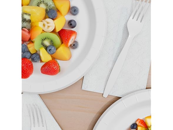 Perk White Paper Plates 9 Inch 1000 Count