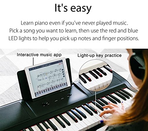 The ONE Smart Piano Portable Keyboard - Gallery 13