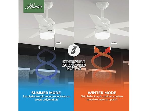 Hunter Fan 44 Inch White Indoor Ceiling Fan for Bedroom - Gallery 5