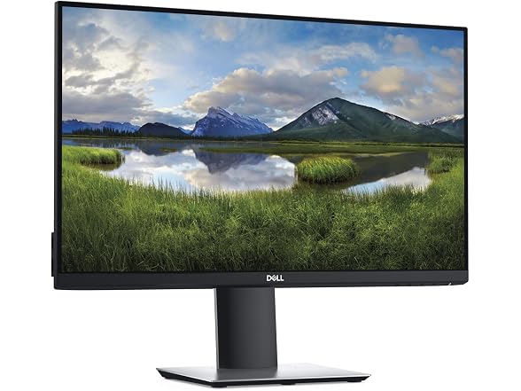 Dell P2419H 23.8" Monitor