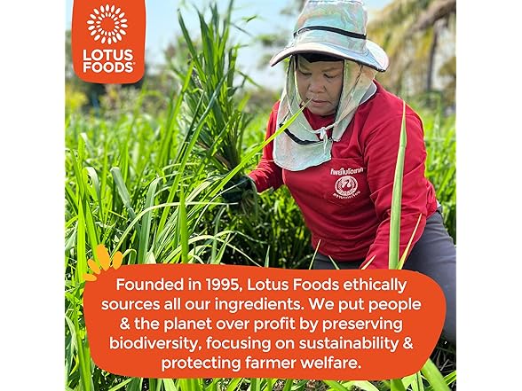 Lotus Foods Rice Ramen 10oz