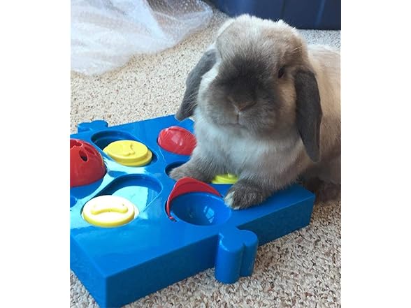 SPOT Seek-A-Treat Flip 'N' Slide Dog Toy