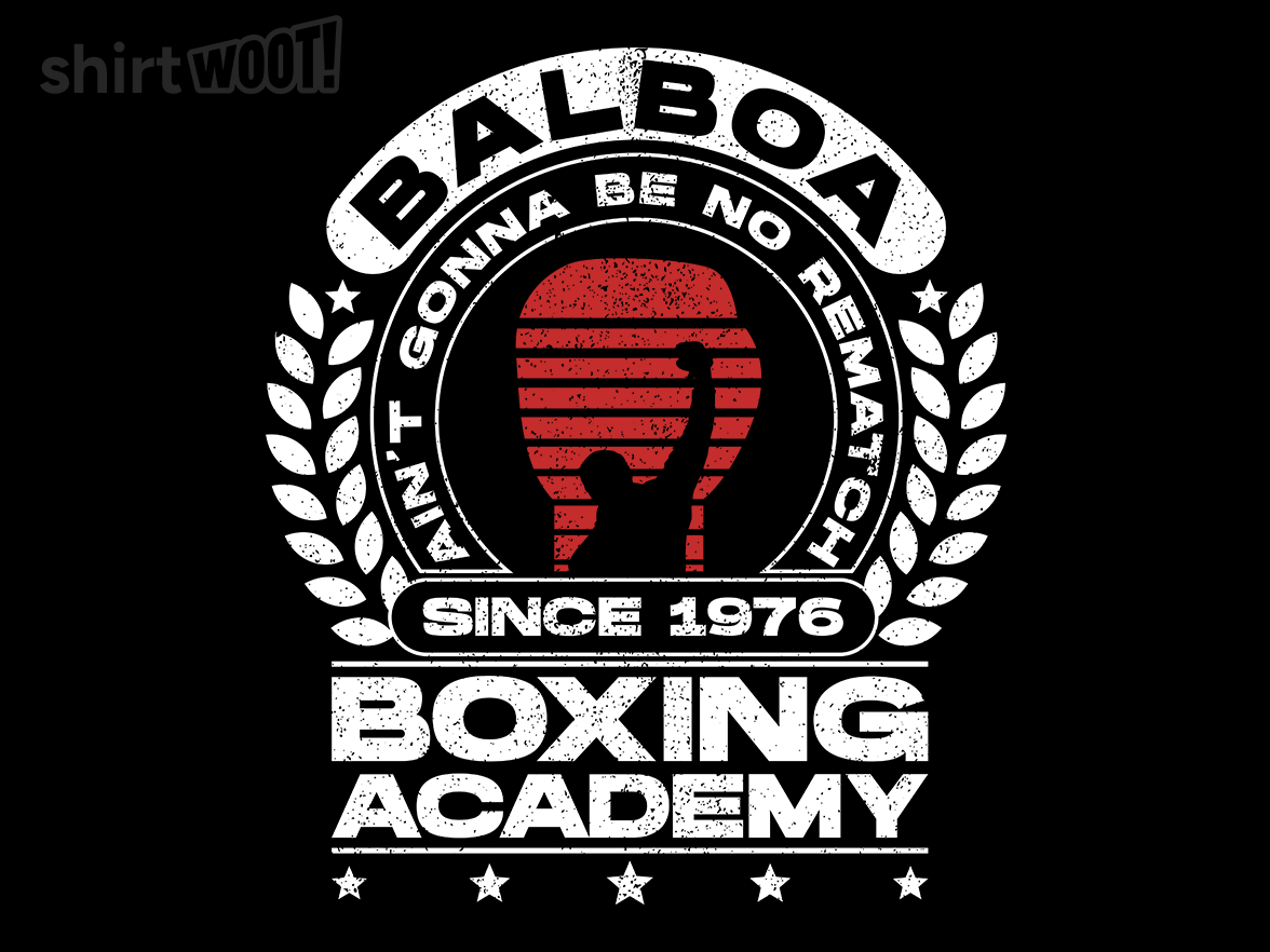 Balboa Boxing Academy - Gallery 9