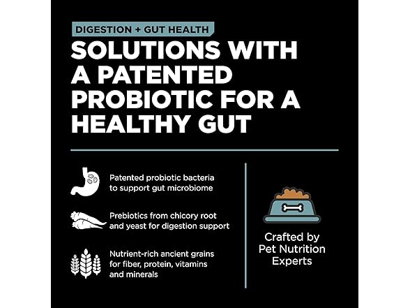 Go! Solutions Dry Cat Food, Chicken, 3lb