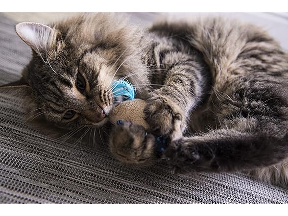 SmartyKat 2-Ct Mouse Mates Catnip Toys