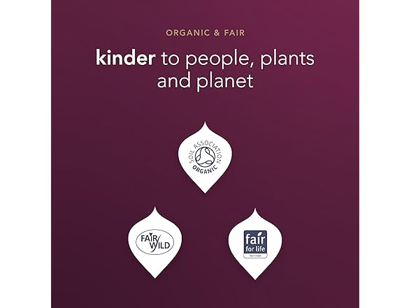 20CT Pukka Organic Night Time Berry Herbal Tea