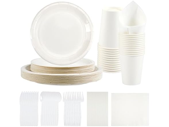 NASUN Paper Disposable Dinnerware Set