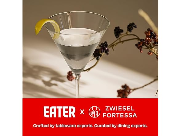 Eater x Zwiesel Fortessa Folly Crystal Glass, 6 Ounce Martini 6 CT