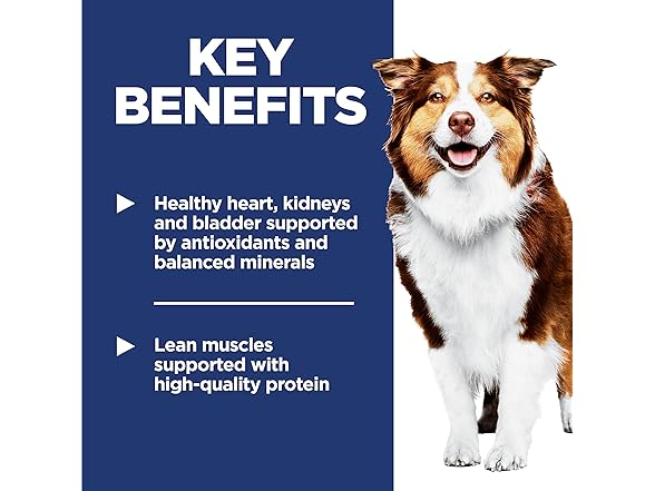 Hill's Science Diet Adult 7+ Dry Dog Food 33 lb.
