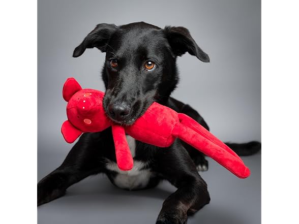 NOAH & PAW Luxury Dog Toy Basket Set