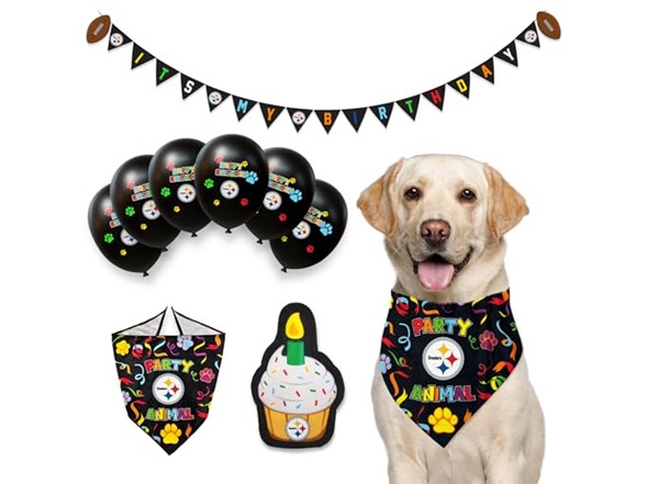 NFL Dog Birthday Party Set