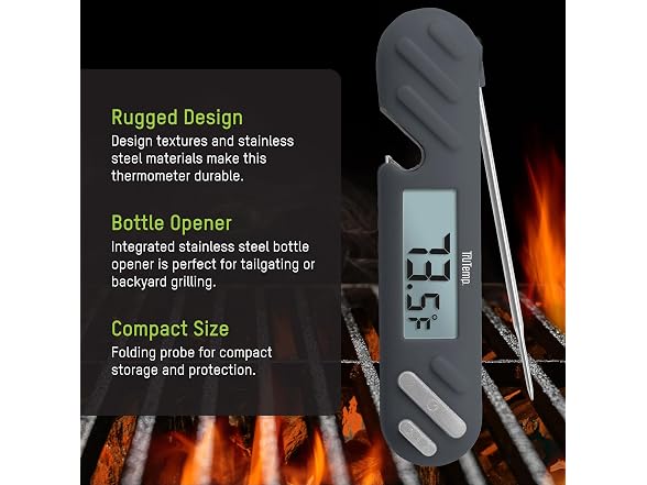 Taylor TruTemp Digital Instant Read Thermometer Meat Probe Gray