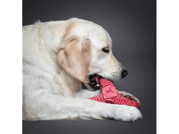 NOAH & PAW Luxury Dog Toy, Dog Rope Toy- Y Flyer, Pink