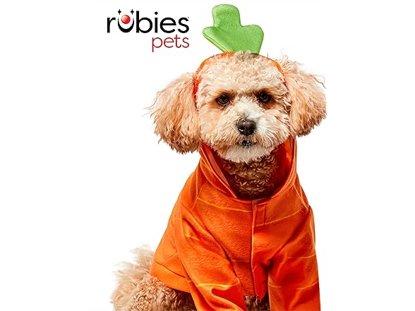 Rubies Carrot Pet Costume for Dogs or Cats, Medium