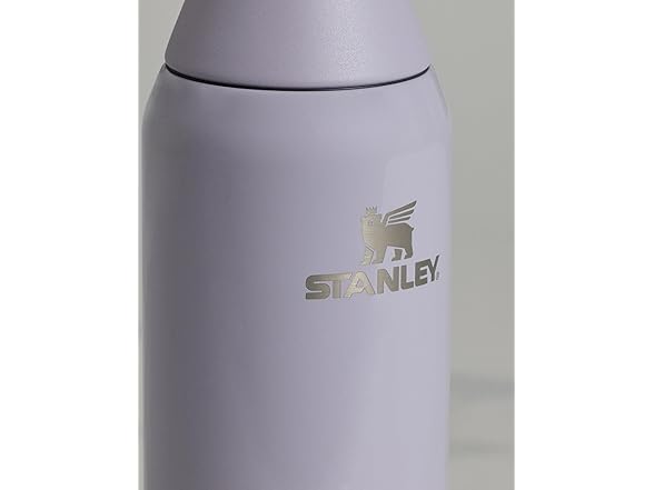 Stanley All Day Slim Bottle 20oz - Purple Dust Gloss