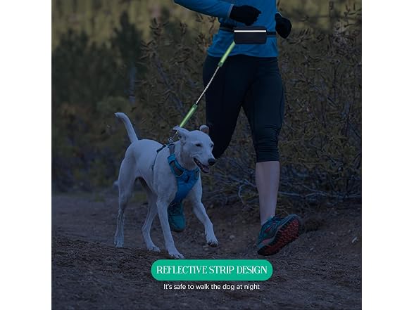 Hands Free Dog Leash, Dual Handle Retractabl