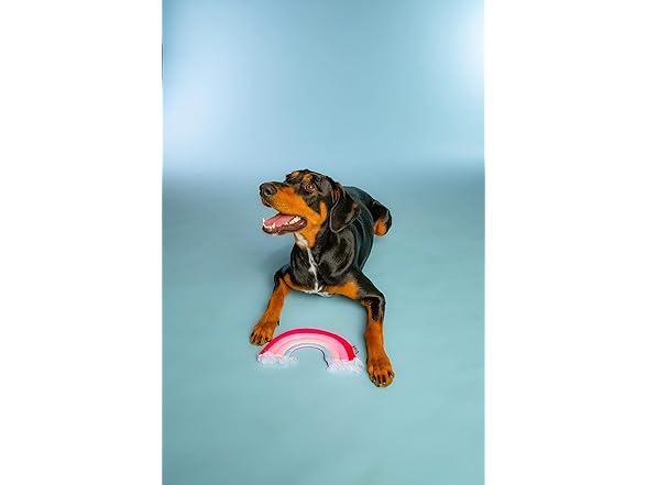 Doggy Parton Pink Rainbow Fringe Toy