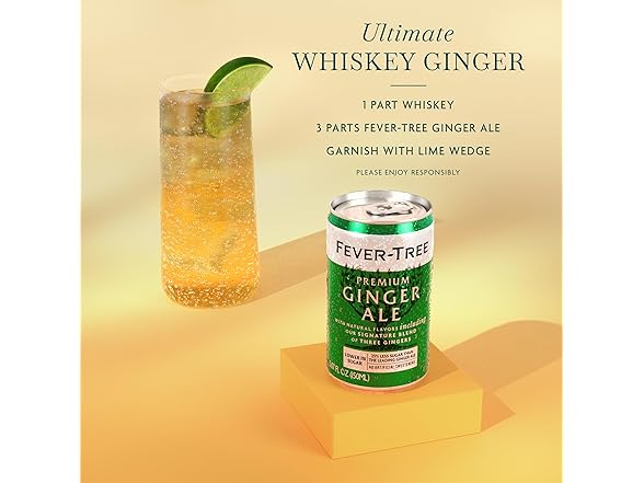 8PK Fever-Tree Ginger Ale – Premium Mixer