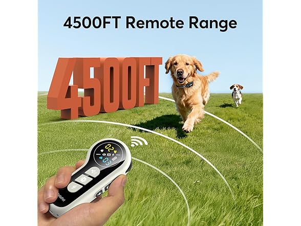 Delupet W0568 Dog Shock Collar 2 Dogs