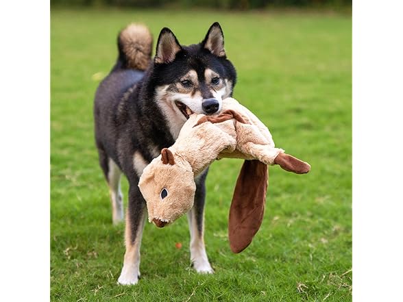 Best Pet Supplies Squeaky Dog Toys with Soft