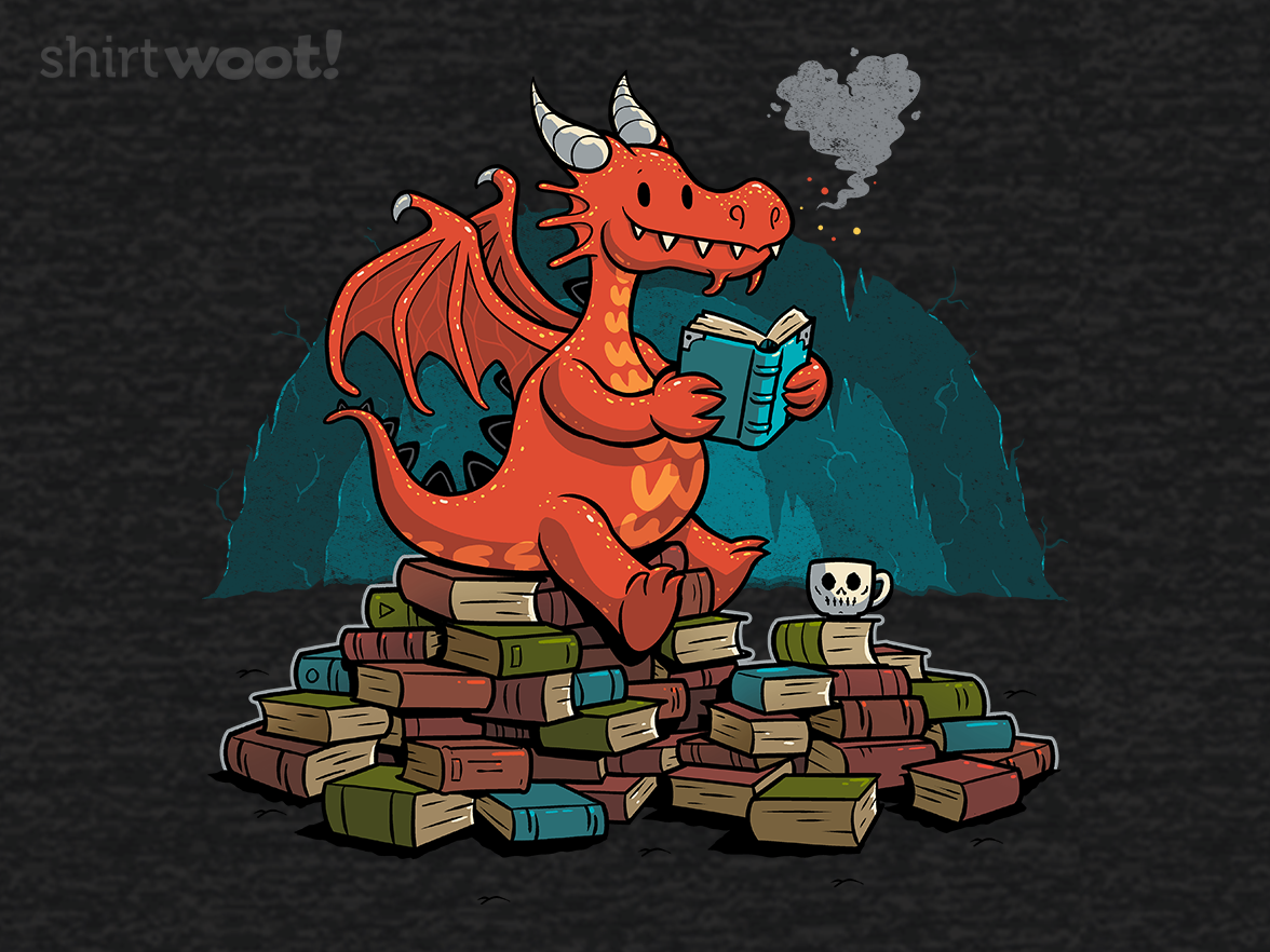 Book Cave - Gallery 4