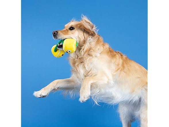 Fringe Studio Plush Dog Toy with Rope