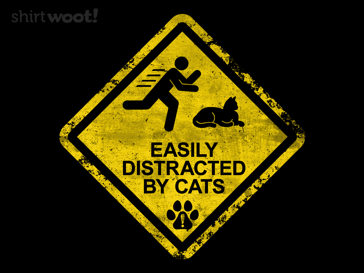 Cat Distraction Warning - Gallery 4