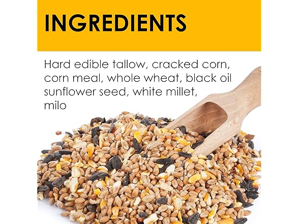 High Energy All Season No Mess Suet Cake Birders Pack