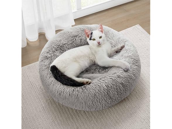 Friends Forever Serena Donut Memory Foam Orthopedic Dog Bed