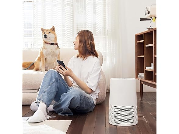 Amazon Basics Air Purifier for up to 1067 sqft