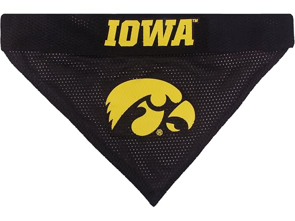 Pets First Collegiate Pet Accessories Iowa Hawkeyes