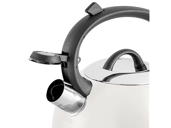 Mr. Coffee Flintshire 1.75-Quart Tea Kettle