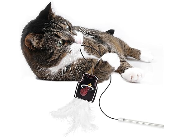 NBA Miami Heat Team Jersey Wand with CAT NIP