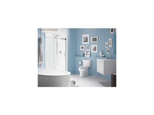 Showerarm and flange