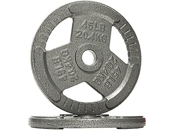 Fitvids Cast Iron Plate Weight Plate, 45LB (Set of 2)