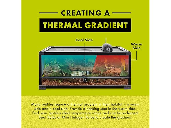 Zilla Incandescent Spot Bulbs Day White 100 Watts