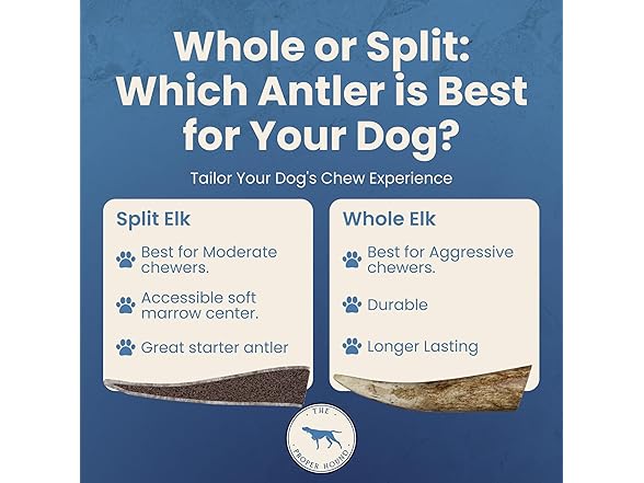 The Proper Hound Split Elk Antlers