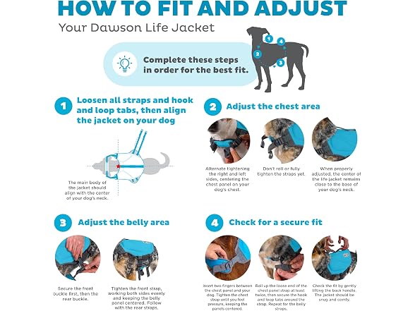 Outward Hound Dawson Swim Dog Life Jacket, H