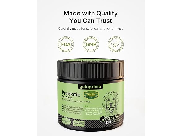 Probiotics for Dogs