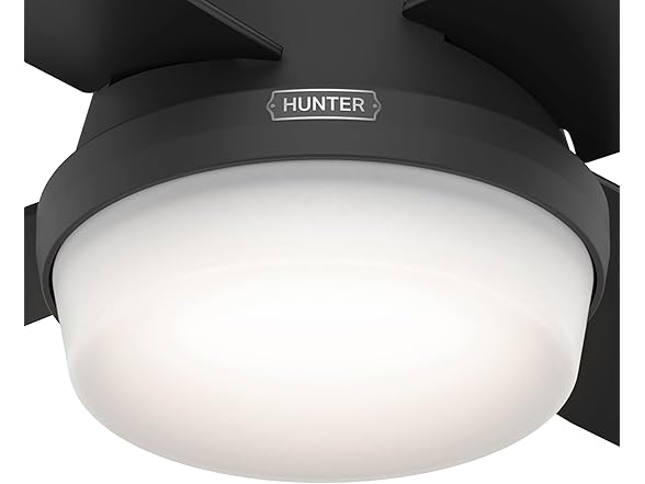 Hunter Fan 52" w/ Light Kit and Remote