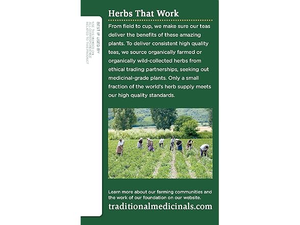 16Ct Traditional Medicinals Tea, Organic Spearmint
