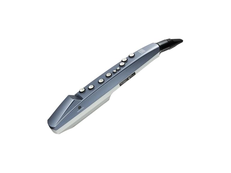 Roland AE-01 Digital Wind Instrument