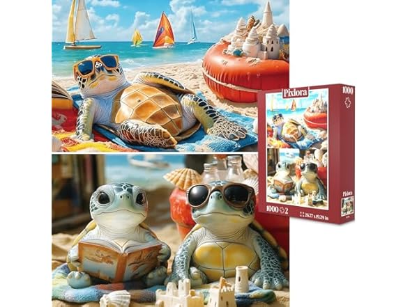 Sea Turtle & Beach Scene
