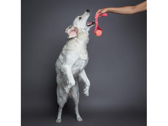 NOAH & PAW Luxury Dog Toy, TPU- Sling, Pink