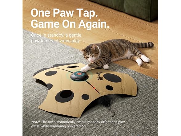 DownyPaws Interactive Cat Toy, 3 Modes