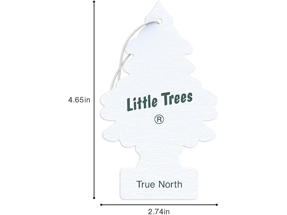 LITTLE TREES Car Air Freshener, 24 Count