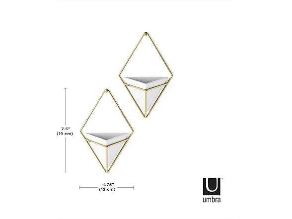 Umbra Trigg Hanging Planter Wall Decor
