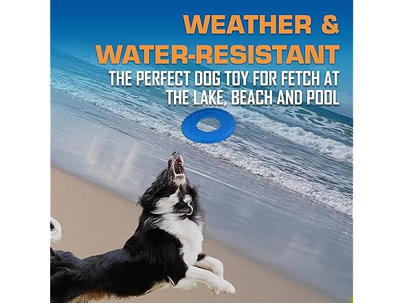 Nerf Dog Tire Flyer Outdoor Dog Toy